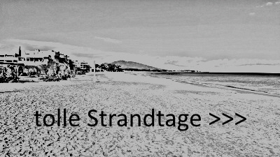 Strand Link